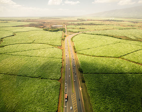 Hawaii State Image