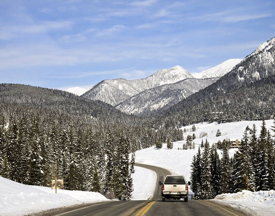Montana State Image